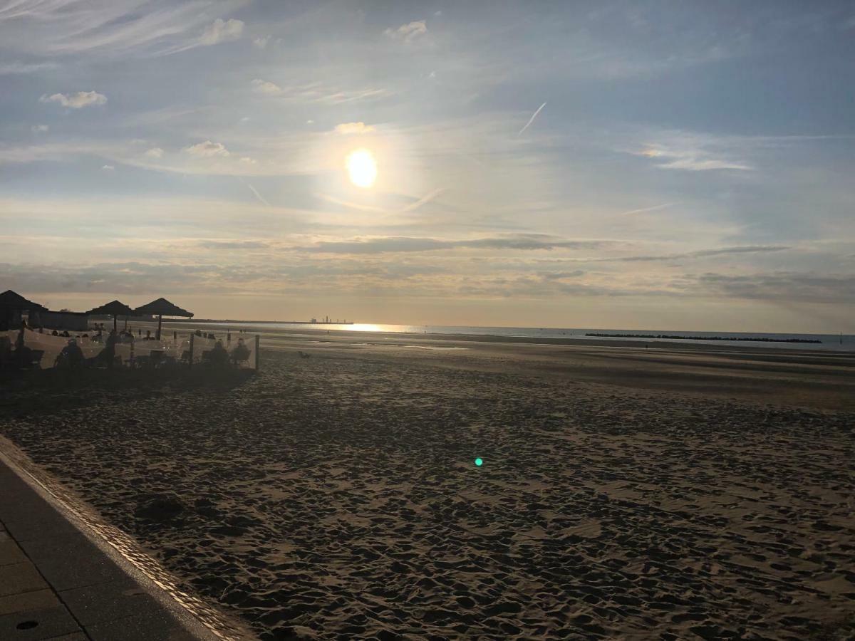 Une Viree A Dunkerque Entre Ville Et Plage Dunkirk Eksteriør billede